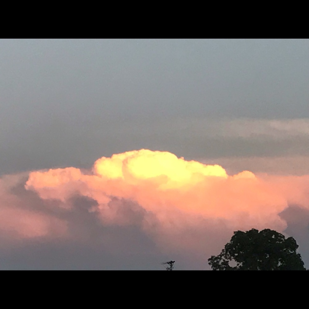 Meet your Posher, Jade